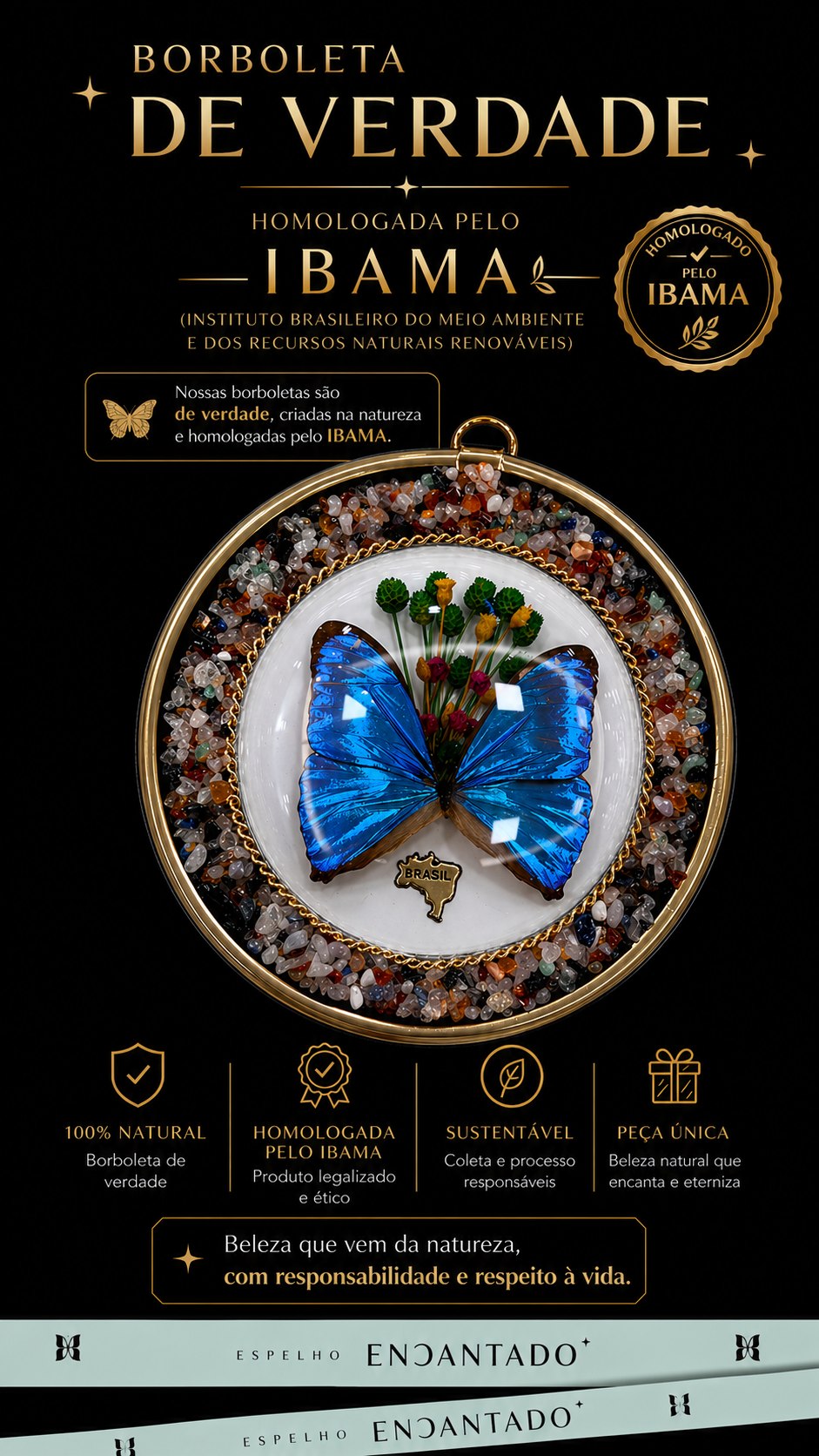 Quadro de Borboleta P