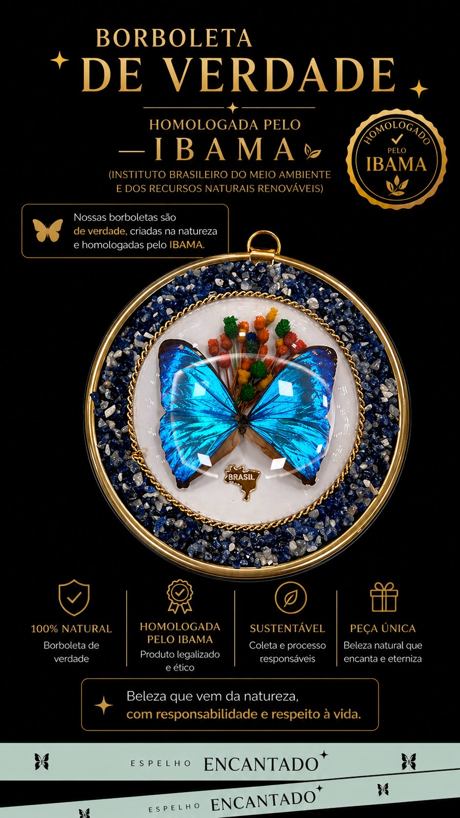 Quadro de Borboleta P
